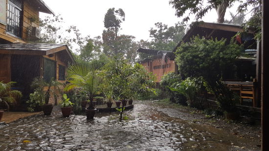 während unserer Klangschalenmeditation fängt es fürchterlich an zu schütten...