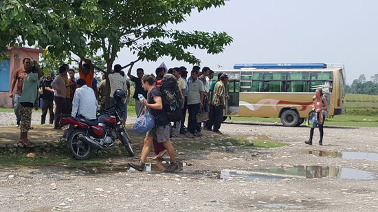Die Meute hält sich ziemlich dezent zurück. Alle bleiben unter dem Baum stehen