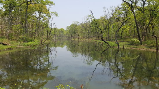 Ein letztes Bild vom Fluss