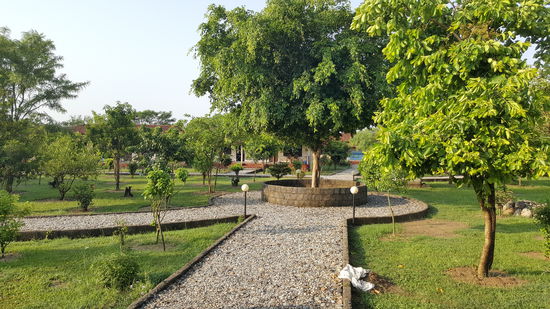 Ein paar letzte Bilder von unserer Anlage im Chitwan Park.