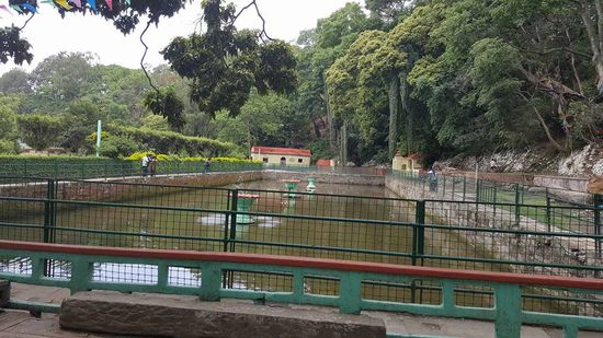 Tatsächlich da ist der Park, den wir suchen. Hier ein Teich mit Goldfischen und fetten Kois