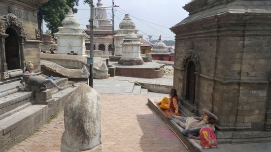 Jetzt  liegen sie wieder rum....