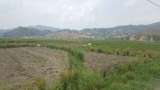 Überall auf den Feldern wird gearbeitet