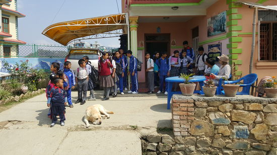Wenige Minuten vor 10 Uhr ruft Sabina:"stand in a line" und schwups...stellen sich alle Kids der Größe nach in einer Reihe auf..wir sind mal wieder entzückt!