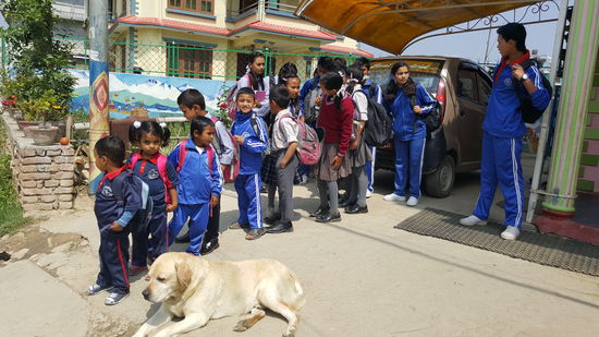 ...inklusive Hund.....haha..