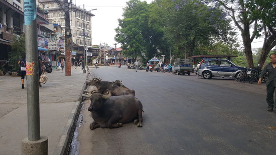 Die liegen da einfach rum...