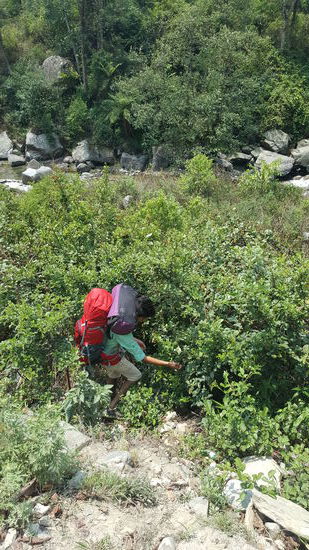 Bijou pflückt uns ein paar Beeren