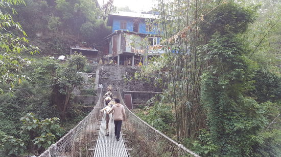 Immer wieder Mulis die irgendetwas hinaufschleppen...