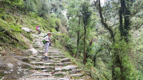 Und wieder geht es Stufe für Stufe bergauf. Wir müssen uns auf jeden Schritt konzentrieren. Es ist anstrengend, aber die Natur ist atembraubend schön.