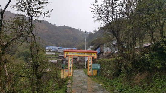 Endlich sind wir in Ghorepani. Es regnet in Strömen und wir haben uns die letzte Stunde schon echt durchgekämpft. Doch zu früh gefreut, es gibt lower and upper Ghorepani. Wir müssen noch weiter aufsteigen. Schritt für Schritt, Stufe für Stufe durch strömenden Regen weitere 30 Minuten nach oben. Wir kommen klatschnass und völlig erschöpft gegen 17Uhr in unserem Guesthouse " Nice View" auf 2874m an.