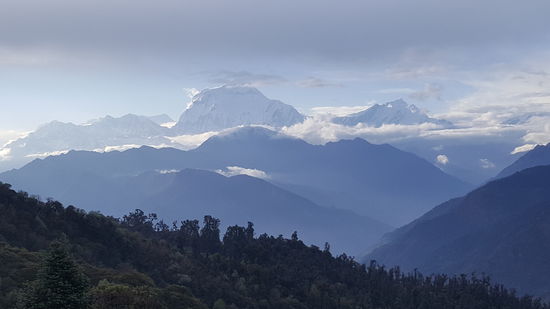 Wir können uns nicht satt sehen.
