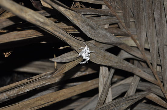 ...die hängt über uns...