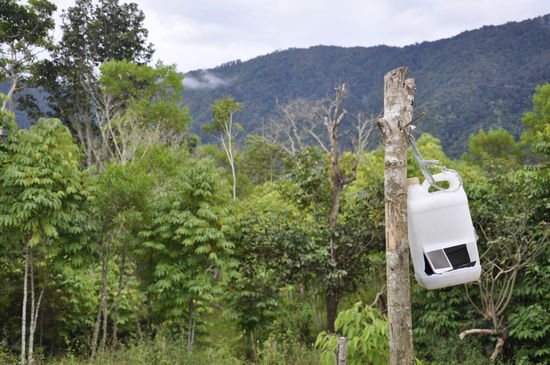 Nur hier in dieser Box und an dieser Stelle gibt es ab und zu mal Empfang...