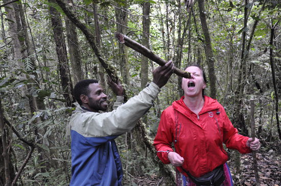 Den Saft aus diesem Stamm wollte Yoli unbedingt probieren. Ich natürlich auch...Sobald der Stamm geschlagen ist läuft er heraus...