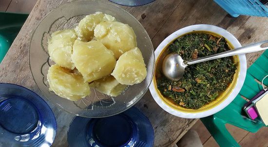 Sieht aus wie Grünkohl...