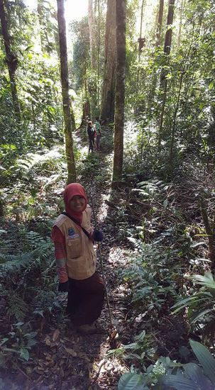 ...wieder etwas durch den Dschungel trekken...