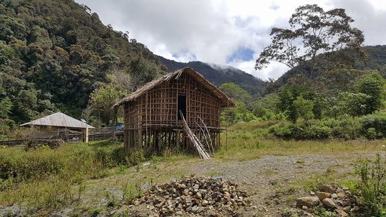 Das ist das typische Stelzenhaus der Arfak Mountains