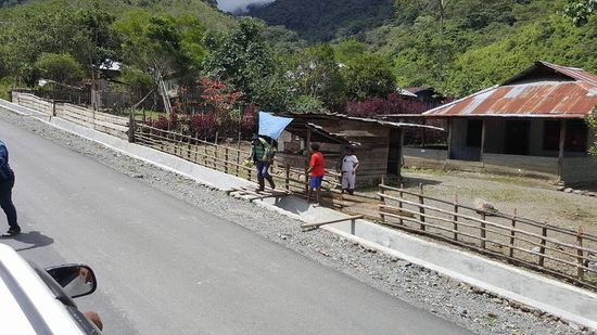 Hier ginbt es frische Ananas zu kaufen