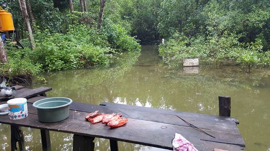 Ja---mit DIESEM Wasser....