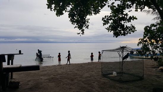 Hier ist eine hübsche Taube eingesperrt