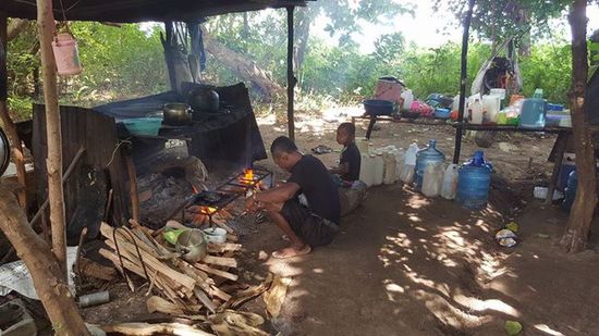 Alfa brät die Fische...