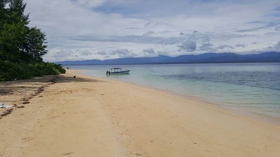 Diese Insel ist nur ein Katzensprung von Sowa entfernt--d.h. wir haben keinen Meter geschafft--