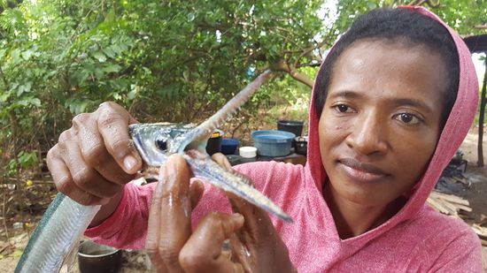 Das ist er, Der hat richtig scharfe Zähne