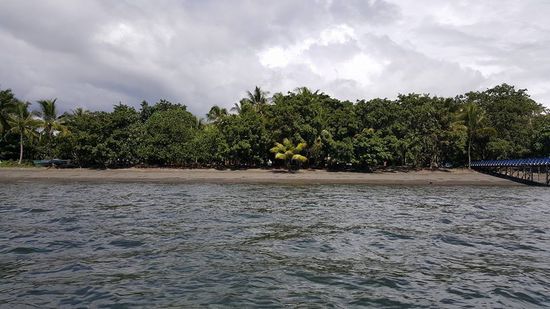 Nabire in Sicht!!!!!!! Loisa dirigiert den Bootsmann an die Stelle wo er anlegen soll