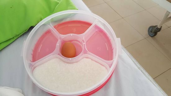 Das ist das Frühstück hier: dünnes geschmacksneutrales Porridge und 1 hartgekochtes Ei.