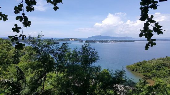 Hier sind wir nun auf der anderen Seite und blicken auf "Holtekamp beach"