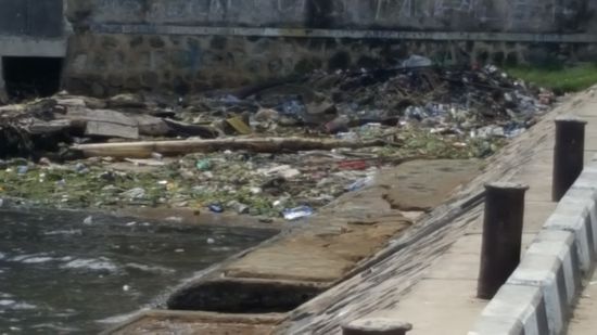 ...der leider übliche Müll...