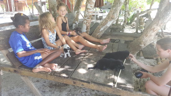 Das sind die süßen holländischen Mädels mit ein paar Hundababies