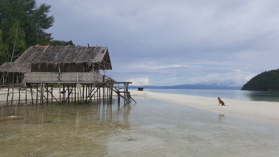 Eine schöne Sandbank