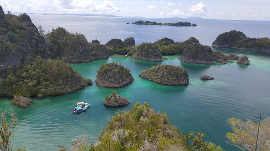 Man kann sich nicht satt sehen!