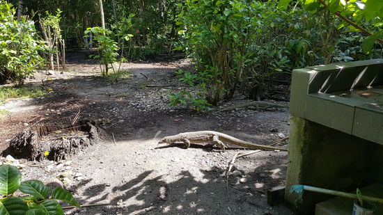 Ich bin begeistert!!