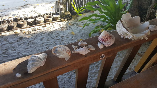 Die darf man ja leider nicht mitnehmen, aber Fotos sind erlaubt...