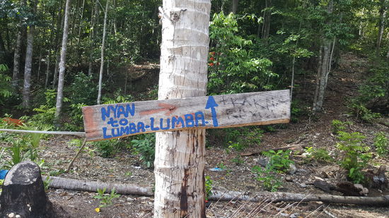 Der einzige Wegweiser