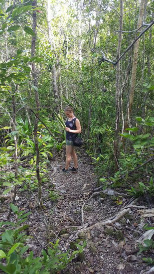 Ist ja fast schon wieder eine Trekkingtour...
Es ist ratsam immer mit einem Stock vor sich zu wedeln, damit man eventuelle Spinnenweben vorher beseitigt. Gestern habe ich eins übersehen, als ich zwischen 2 Bäumen durchgelaufen bin und voll durchgelaufen. Ihr könnt euch nicht vorstellen wie zäh und klebrig das war!