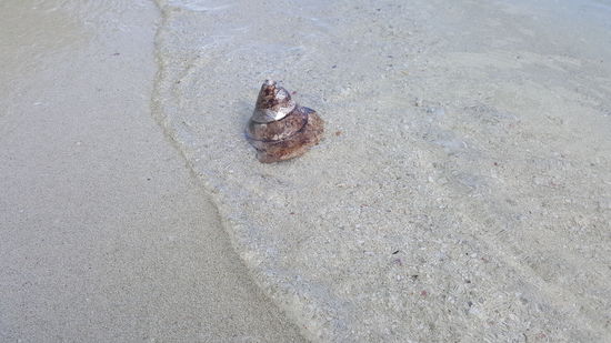 Die ist wunderschön und noch ganz heil