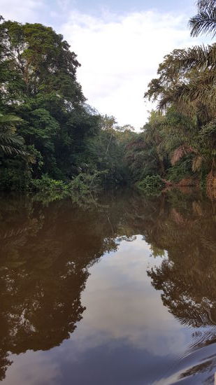 ...da geht es weiter...