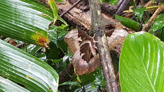 ..Von der anderen Seite..