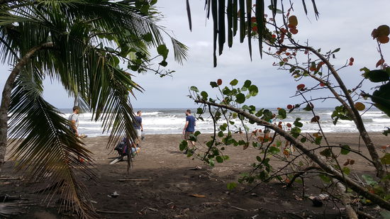Der Nationalpark läuft parallel zum Meer (Karibik)