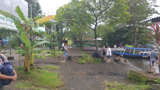 Da treffen wir die nette Weltreisende wieder...