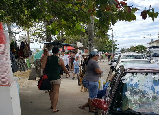 Die meisten Frauen sind klein und dick...