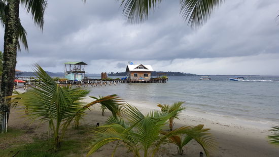 Wir gehen zu dem schönen Strand. Diese kleine Insel ist wirklich traumhaft schön. Viele idyllische Lodges am Strand und dahinter Dschungel. Dazu das Geschrei der Tropenvögel..