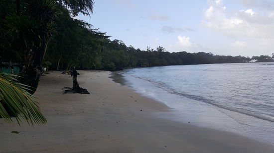 Ein wirklich schöner Strand...es dämmert schon, daher fahren wir mit dem Wassertaxi zurück. Dazu stellt man sich einfach auf einen Steg und winkt