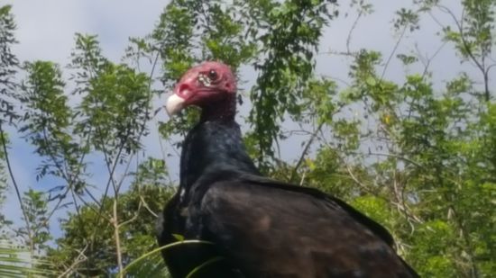 Der sitzt so schön nah und rührt sich nicht..