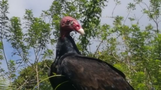 Ideal für ein schönes Porträt