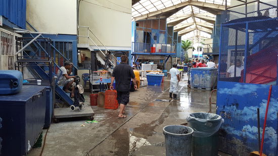 Wir gehen in den hinteren Bereich, zu dem Fischmarkt