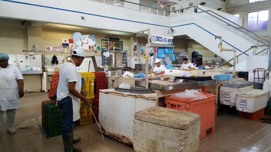 Ich glaube die packen schon ein..